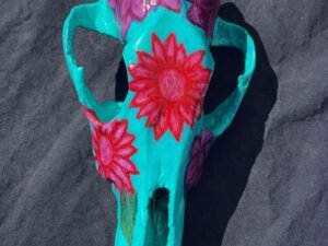 Turquoise Coyote Skull