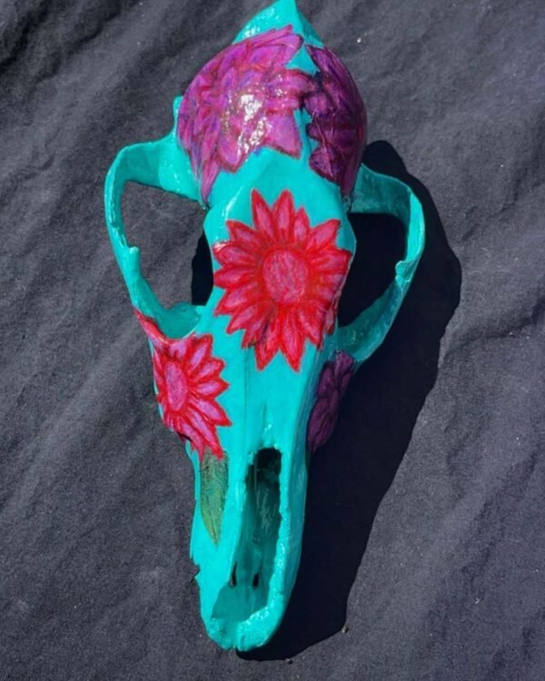 Turquoise Coyote Skull