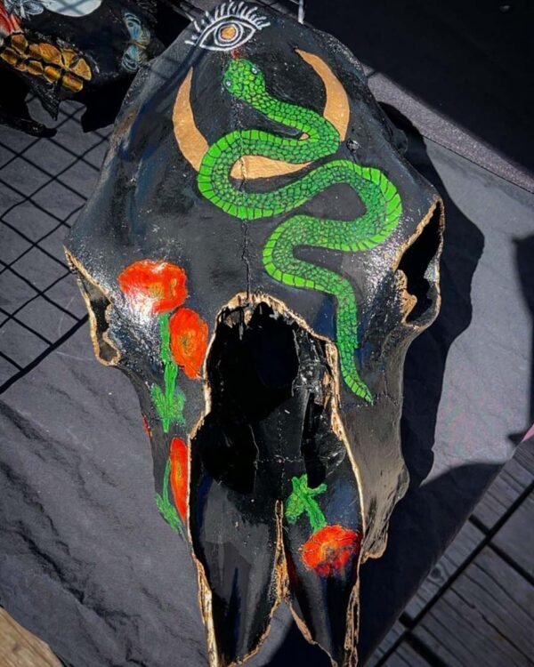 Cow Skulls