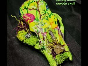 SpringMoss Coyote Skull - Image 4