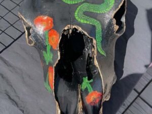 Cow Skulls - Image 23