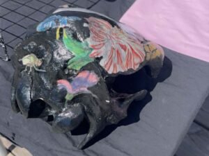 Cow Skulls - Image 21