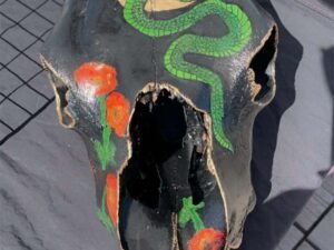Cow Skulls - Image 19