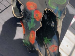 Cow Skulls - Image 18