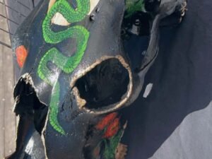 Cow Skulls - Image 17