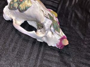 Badger Skull with butterfly - Image 3