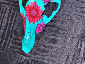 Turquoise Coyote Skull - Image 3