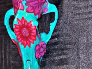 Turquoise Coyote Skull - Image 2