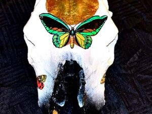 Cow Skulls - Image 9