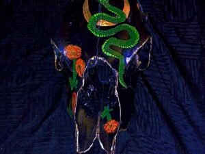 Cow Skulls - Image 15