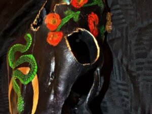 Cow Skulls - Image 6