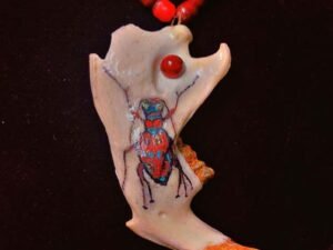 Beaver JawBone Necklace - Image 7