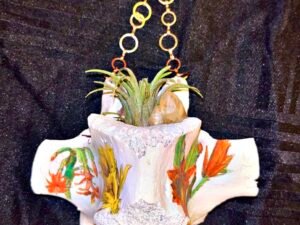 Miscellaneous Bones - Image 6
